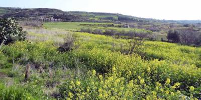 Güneyde 5 bölge daha “Natura 2000 Ağı”na eklendi