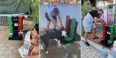 CTP Yeniboğaziçi Örgütü, sokak hayvanlarını unutmadı