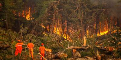 Türkiye'deki orman yangınlarıyla mücadele sürüyor