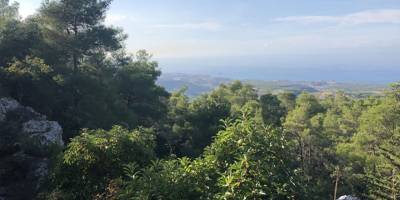 Ormanlar için 125 kişilik yangın hazır kuvvet ekibi kuruluyor