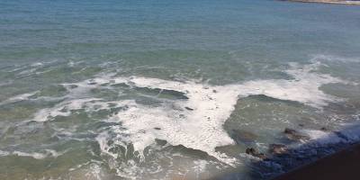 "Karpaz’da görülen köpük deniz salyası değildir"