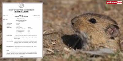 ‘Fare Zehiri’nde İhale Çıkmazı