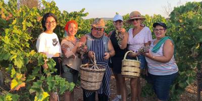 Dalından üzüm topladılar, şarap tattılar