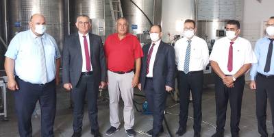 Türkiye'ye 250 ton zeytinyağı ihraç edilecek