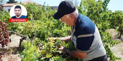 “İlaç ve sürme parası çıkmayacak”