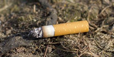 Yangınların nedeni, söndürülmeden atılan sigara izmariti