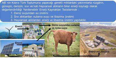 Hayvansal gübrelerin yönetilmesi ile ilgili Avrupa yönergeleri