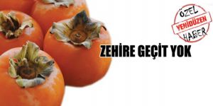 Zehirli cennet hurmaları imha edildi