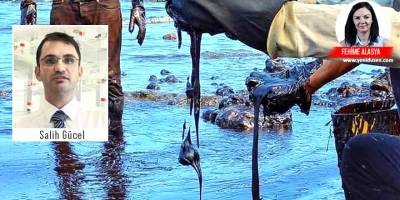 “Petrol belki tamamen kıyıları kirletmeyecek ama Akdeniz’de birçok canlının ölümüne sebep olacak”