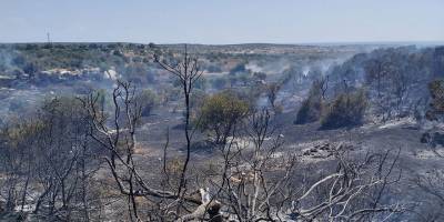 Bafra'daki yangın korkuttu