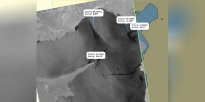 “Karpaz açıklarında 2 noktada kirlilik tespit edildi”