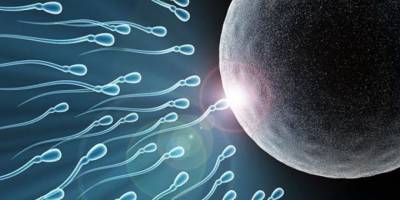 "Covid-19 sperm sayısını azaltıyor"