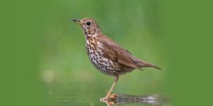 Yasak av konusunda bilgi verilecek