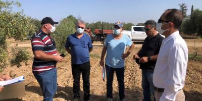 “Yerli zeytin tescili, ekonomik, coğrafi ve kültürel anlamında ülke adına büyük bir prestij olacak”