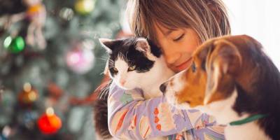 “Bu hayvanların bize her gün ihtiyacı var”