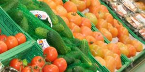 Gıda güvenliğine çözüm, sertifikalı üretim