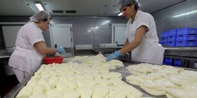 Güneyde hellimdeki süt kotasıyla ilgili yeni bir kararname yayınlandı