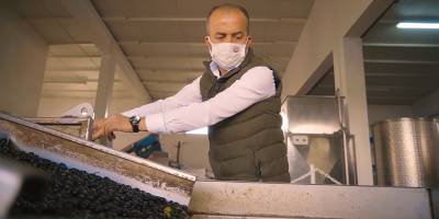 Akıncı: Zeytincilik sektörüne gerekli önem verilmelidir