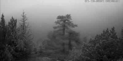 Trodos’a yılın ilk karı düştü