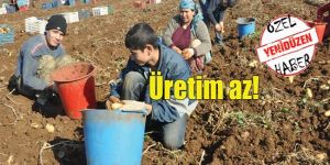 Patateste Türkiye Kuzey Kıbrıs’tan ürün talep etti ama