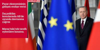 Avrupa Konseyi'nden Türkiye'ye uyarılar