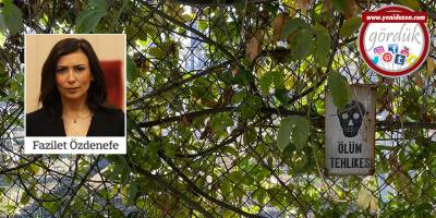 “Üretim maliyeti AKSA’dan   da pahalı mı olacak?