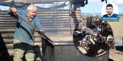 Domuz çiftliği kurdu: "Bu işin piyasası var, çok fazla talep de var"