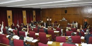 Cezaya madde madde OYBİRLİĞİ