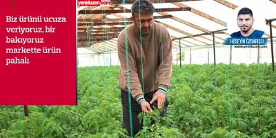 Tatlısu sera üreticilerinden yetkililere çağrı: “Sesimizi duyun!”