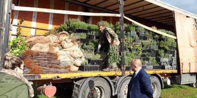 Türkiye’den Tepebaşı-Kalkanlı bölgesi için 200 bin  fidan