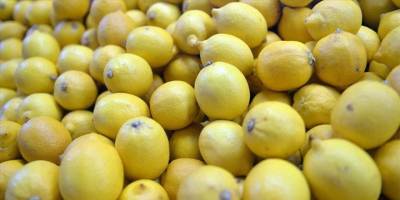 30 kilo limon çaldı, tutuklandı