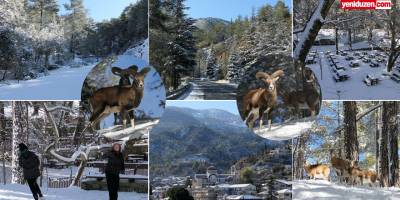 Trodos'ta beyaz örtü