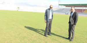 Sahalar yeni yeşeriyor