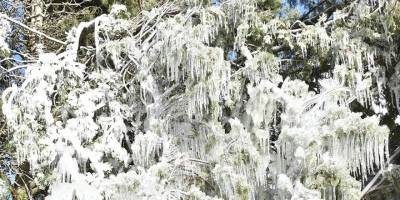 Bu gecenin en soğuk gecelerden biri olması bekleniyor
