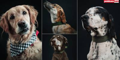 ‘Her canlı sevgi dolu sıcak bir yuvayı hak eder’