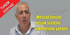 “Mevcut turizm teşvik sistemi tekelleşme yaratır”