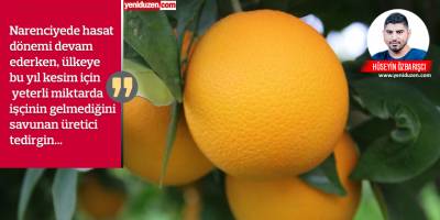 Narenciyede işçi sorunu, üretici endişeli:  ‘İşçi gelmezse,  ürün boşa gidecek’