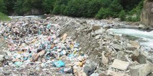 Eski çöplük ağaçlandırılıyor