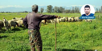 Hayvancılar yine isyanda: “Et ve süt fiyatları maliyetlere göre ucuz, hayvan satıp yem alabiliyoruz”