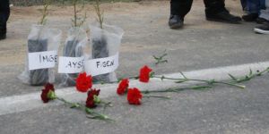 3 CAN İÇİN 3 FİDAN