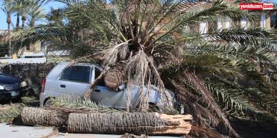 Rüzgar kırdı geçirdi