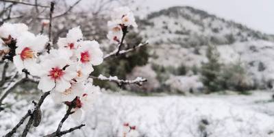 Selvilitepe’de kar kalınlığı 15 cm’ye kadar ulaştı