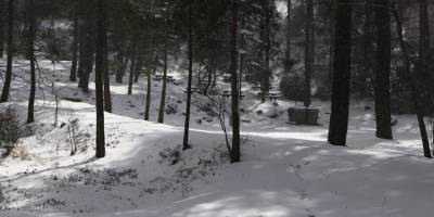 Trodos normal araçlara kapandı