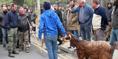 Hayvancılar güneyde de yollarda