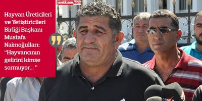 "Geçen yıl bir torba yem 110 TL'ydi, şimdi 350 TL… Sürekli zam var"