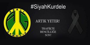 Adalı Gençlik Perşembe Günü eylem yapacak