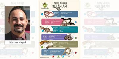 “Sadece 3 tür zehirli, insan için tehlikeli olan tek yılan Gufi’dir”