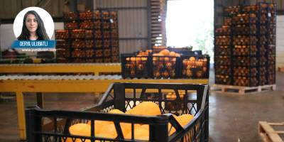 Hastürk: “Çalışanların çocukları onlarla geliyor ama çalışmıyor”