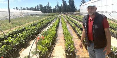 Üretici ve yurttaş için 30 bin fidan