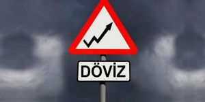 DÖVİZ ALARMI